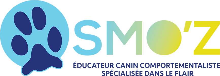 education canine annecy